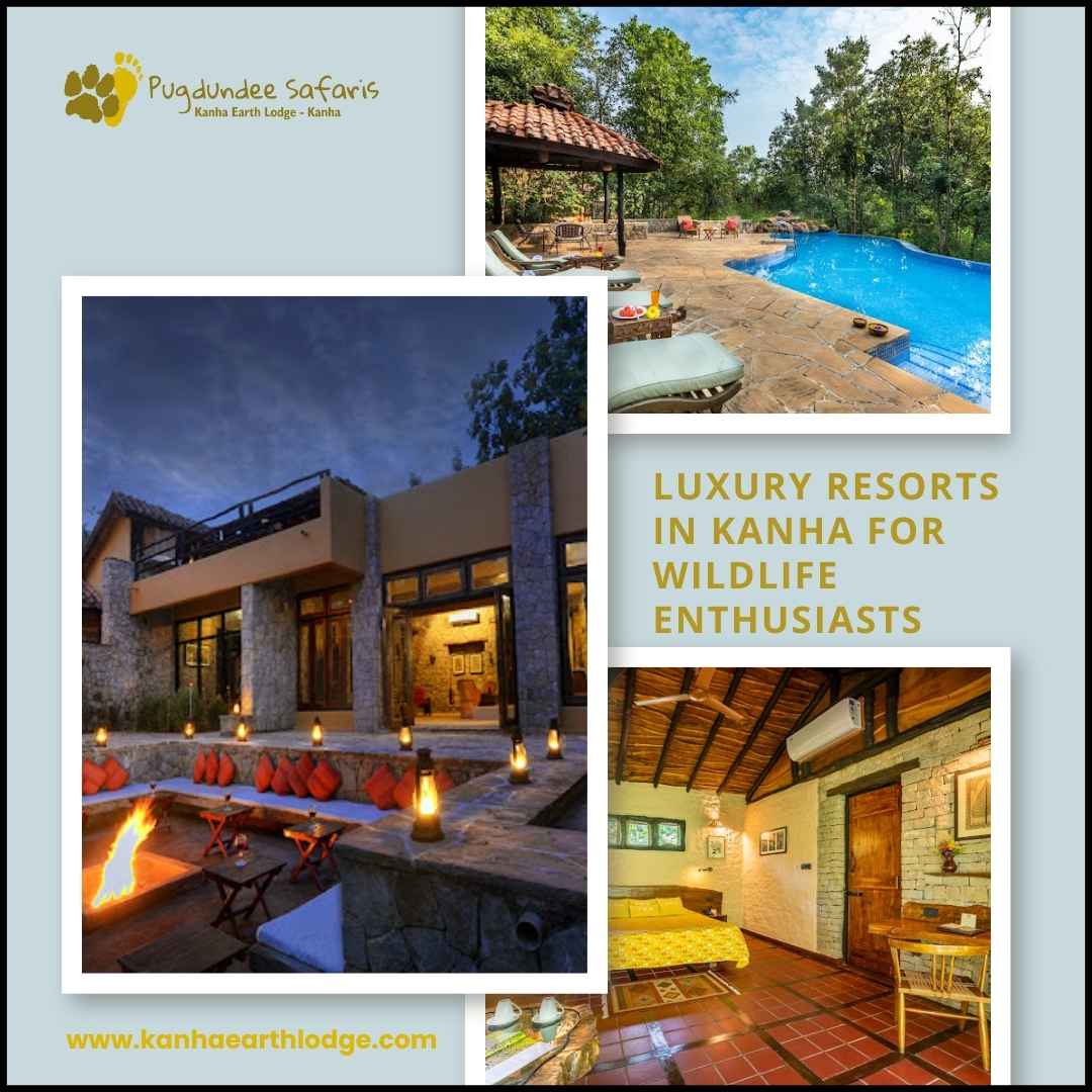 Luxury Resorts In Kanha For Wildlife Enthusiasts